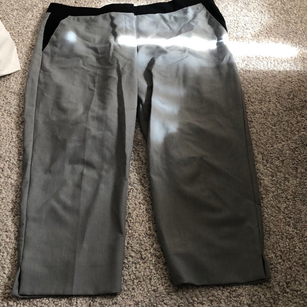 Capri Dressy Pants